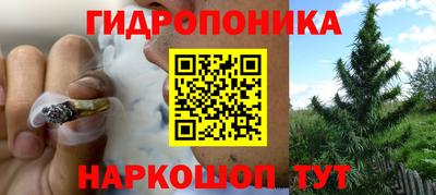 альфа пвп Кизляр