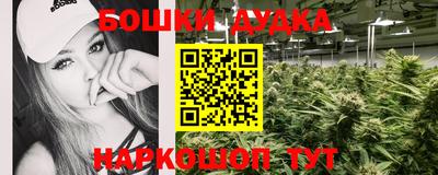 молекула духа Донской