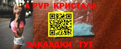 молекула духа Донской